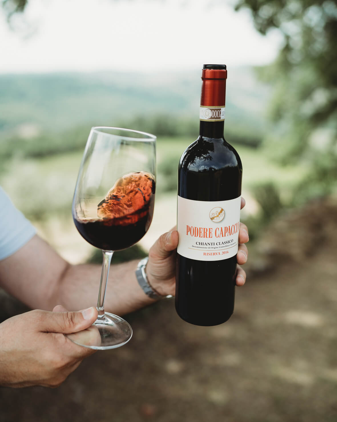 Wines in the heart of Chianti Classico
